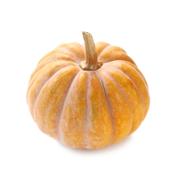 close-up shot of fresh pumpkin isolated on white background - 写真・画像