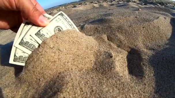 Девушка вынимает из песка деньги банкноты в триста долларов. - Кадры, видео