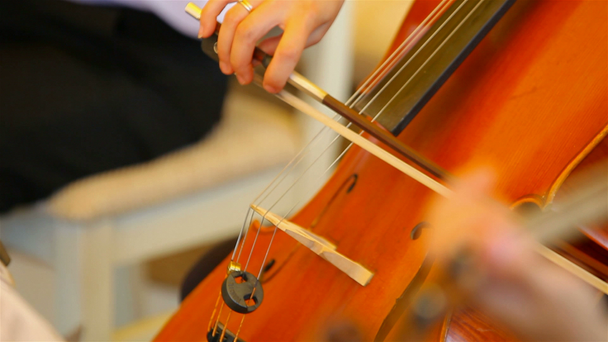 orkest: cello, contrabas, viool. - Video