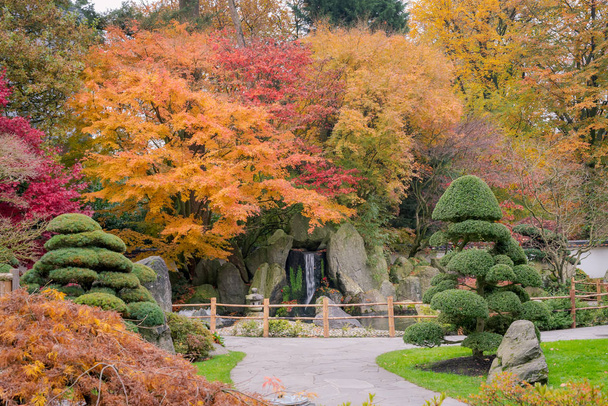 mooie japanse tuin in herfstpark - Foto, afbeelding