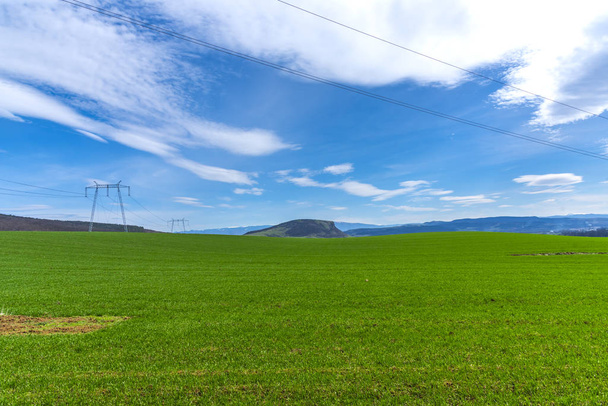 green field and blue sky - Фото, изображение