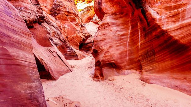Les murs de grès rouge courbes lisses causées par l'érosion hydrique dans le canyon Mountain Sheep. Mountain Sheep Canyon est l'un des célèbres canyons à sous dans les terres Navajo près de Page Arizona, États-Unis
 - Photo, image