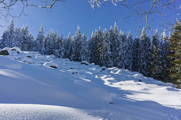 Χειμερινό τοπίο του βουνού Βίτοσα, Βουλγαρία - Φωτογραφία, εικόνα