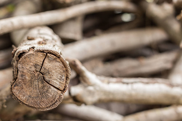 yakacak odun dokusu - Fotoğraf, Görsel
