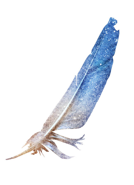 Watercolor feather isolated on white. Silhouette  - Valokuva, kuva