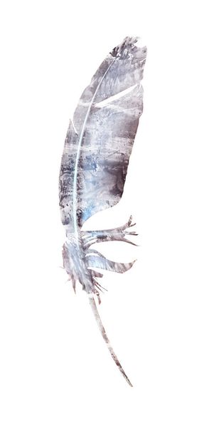 Watercolor feather isolated on white. Silhouette  - Fotografie, Obrázek