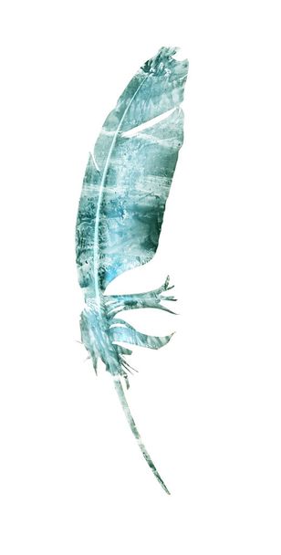 Watercolor feather isolated on white. Silhouette  - Fotó, kép