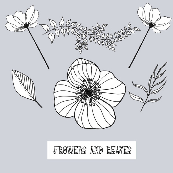 zwarte lijn illustratie van bloemen en bladeren - Foto, afbeelding