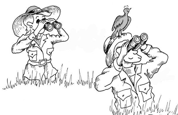 Cartoon illustratie. vrouw kijkt vogel die naar andere vogel kijkt - Foto, afbeelding