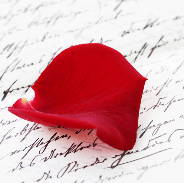 close-up shot van rode roos bloemblaadje op handgeschreven brief - Foto, afbeelding