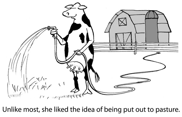 Illustrazione del fumetto.Mucca che innaffia il terreno
 - Foto, immagini