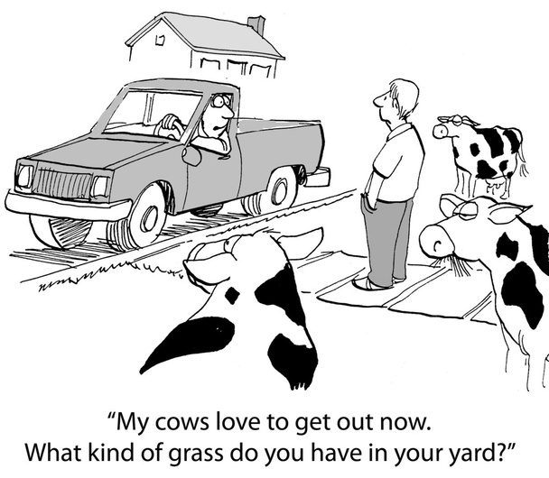 Cartoon illustration. Neighbor surprised the cows on the lawn - Fotó, kép