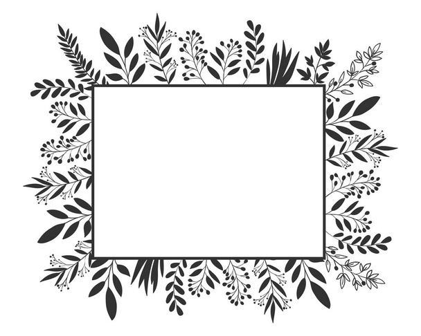 Isolated leaves frame vector design - Vector, Image