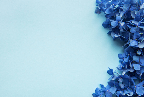 Blue hydrangea flowers - Foto, Imagem