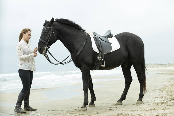 ratsastus tyttö ja hevonen - Valokuva, kuva