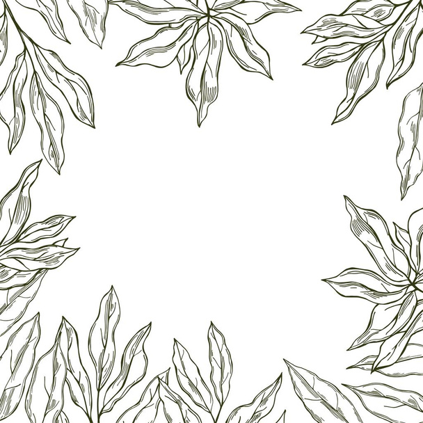 Vector background with hand drawn laurel plant.  - Vektor, kép