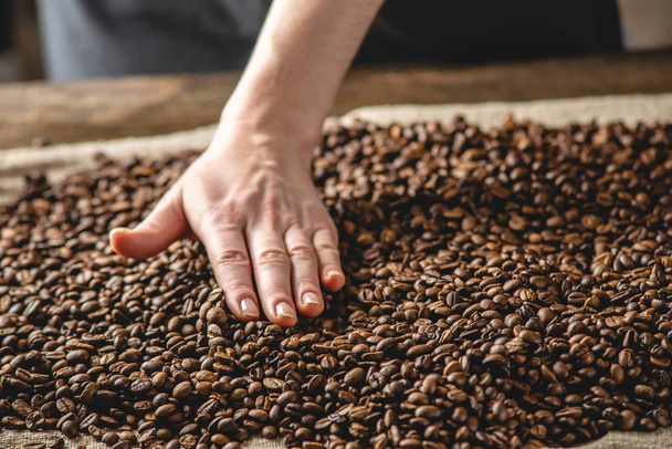Ręka głaska ciepłe pachnące ziarna kawy. Stos prażonych ziaren Arabicy. Wybór świeżej kawy do espresso - Zdjęcie, obraz