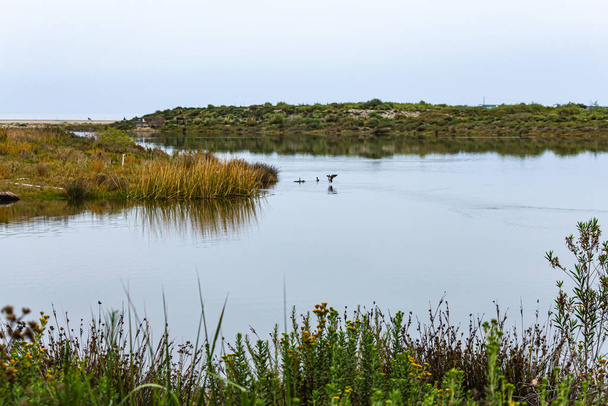 vista da lagoa malibu parque estadual pássaro santuário
 - Foto, Imagem