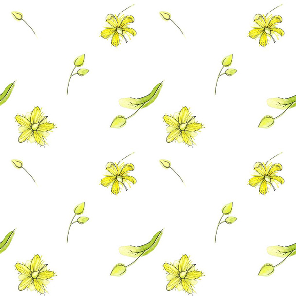 Seamless watercolor pattern of a linden flowers on a white background. - Photo, Image