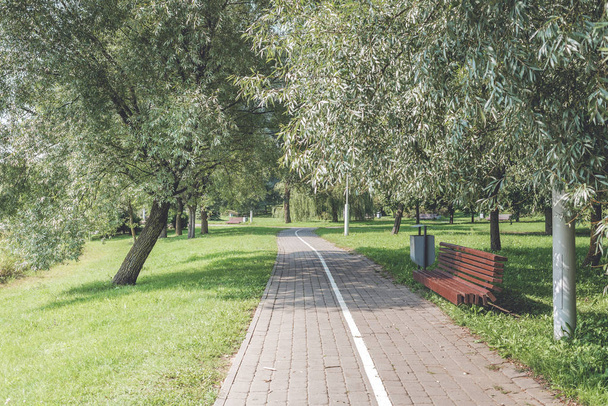 bench in the park among the green trees and a track for running. - Foto, immagini