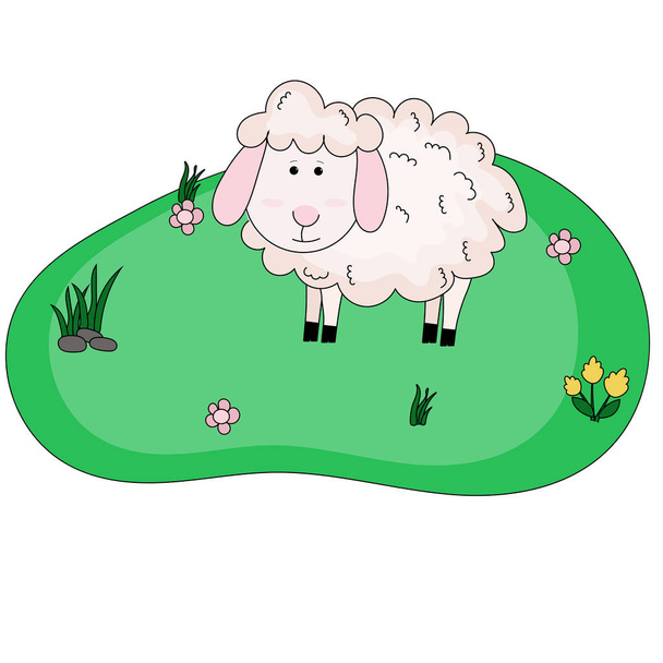 Farm cute vector sheep on meadow. Illustration in flat cartoon style with animal. - Vektör, Görsel