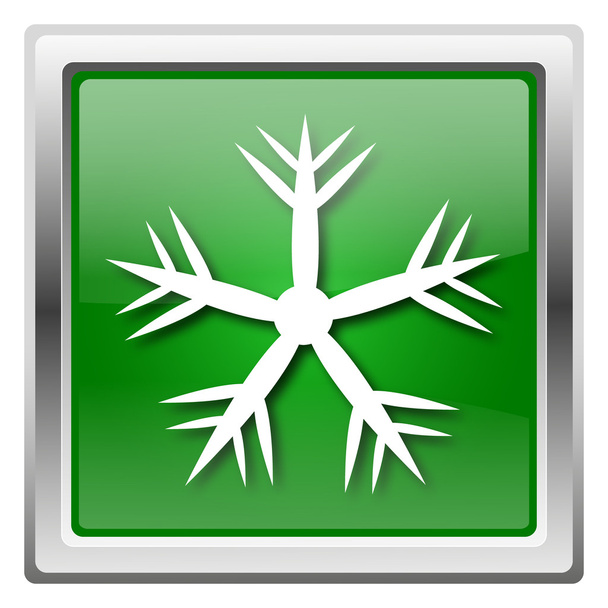 ikona śnieżynki - Zdjęcie, obraz