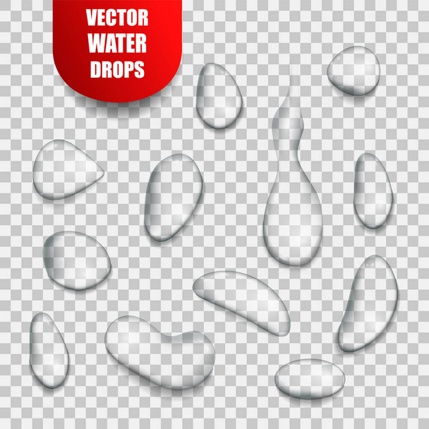 Vector realistische geïsoleerde waterdruppels - Vector, afbeelding