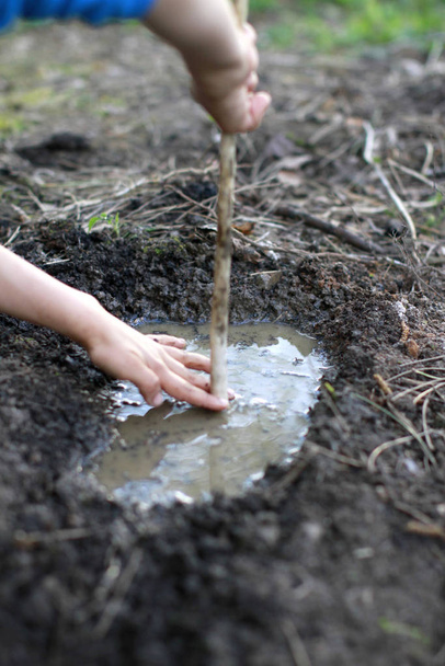Anonymous child hands having fun playing with mud and water - Foto, Imagen