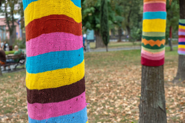 Alberi che indossano sciarpe colorate in maglia nel parco autunnale. Cura abou
 - Foto, immagini
