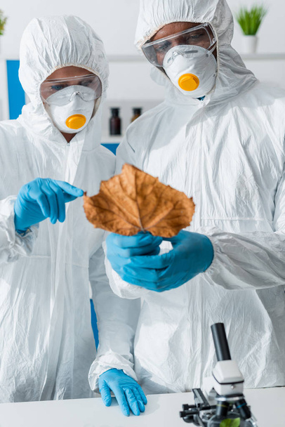πολυπολιτισμικοί βιολόγοι δείχνουν με το δάχτυλο τα φύλλα στο εργαστήριο  - Φωτογραφία, εικόνα