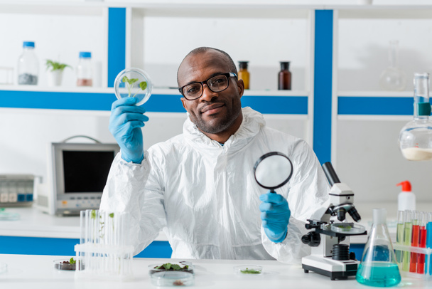 sorridente biologo afroamericano in possesso di lente d'ingrandimento e foglie
  - Foto, immagini