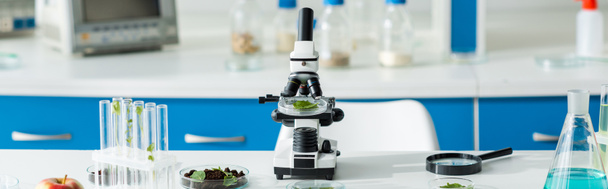 Panoramaaufnahme von Mikroskop, Reagenzgläsern, Blättern, Lupe auf dem Tisch im Labor  - Foto, Bild