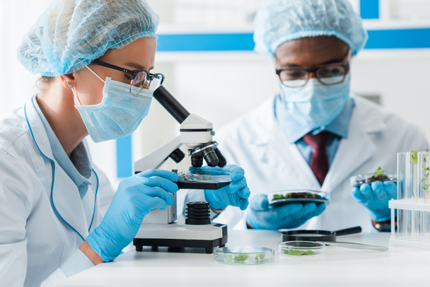 selective focus of biologist using microscope and african american colleague looking at leaves on background  - Photo, Image