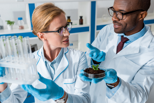 Multikulturelle Biologen in weißen Kitteln halten Reagenzgläser in der Hand und reden im Labor  - Foto, Bild