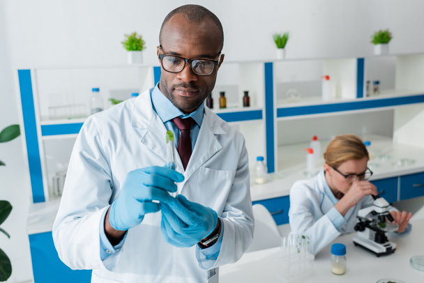 enfoque selectivo del biólogo afroamericano sosteniendo tubo de ensayo y colega utilizando microscopio en el fondo
  - Foto, imagen