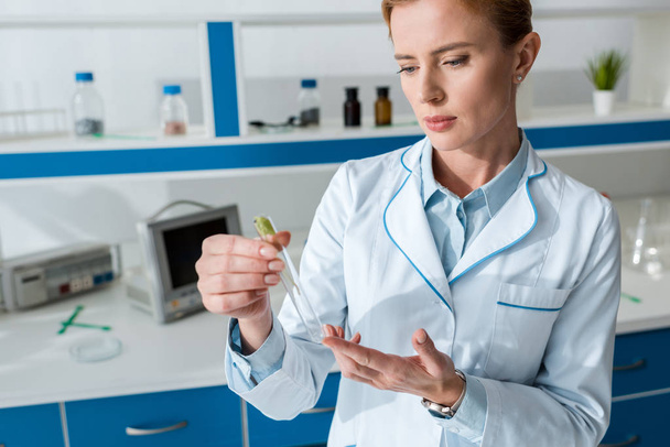 biolog v bílém plášti drží zkumavku s listy  - Fotografie, Obrázek
