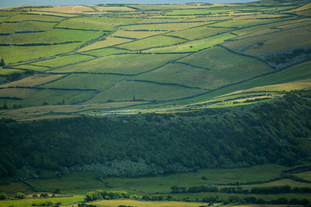 Faial, Azores 'de tarım alanları - Fotoğraf, Görsel