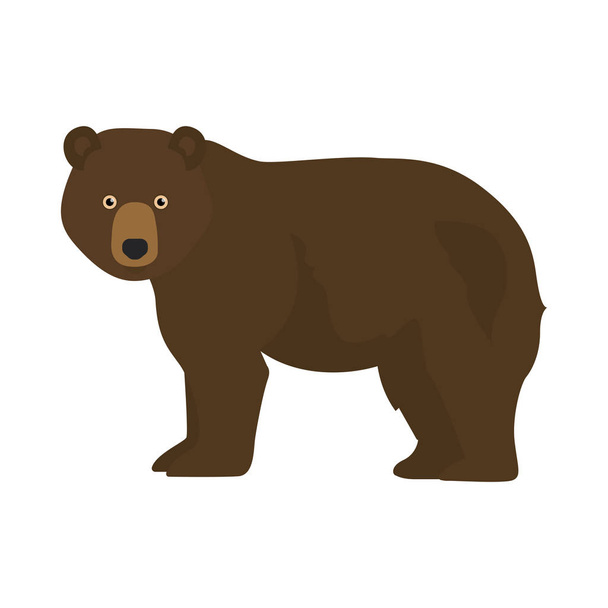 Brown bear, forest bear, grizzly bear. Cartoon vector illustration - Vector, Image