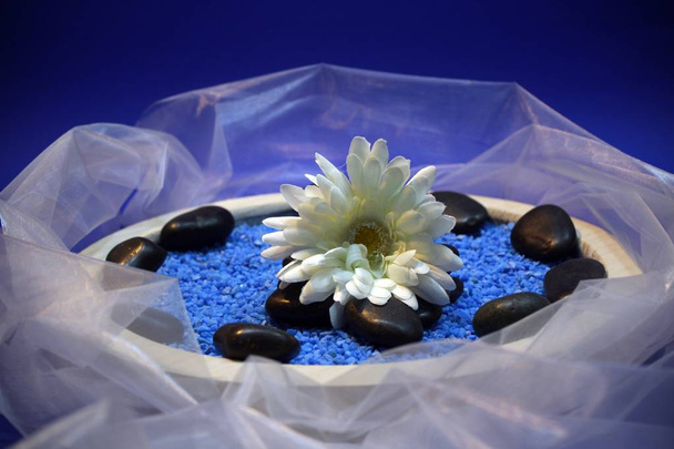 λευκό χρυσάνθεμα σε ξύλινο μπολ σε μπλε διακοσμητικές πέτρες και λευκό κασκόλ ταφτά - Φωτογραφία, εικόνα