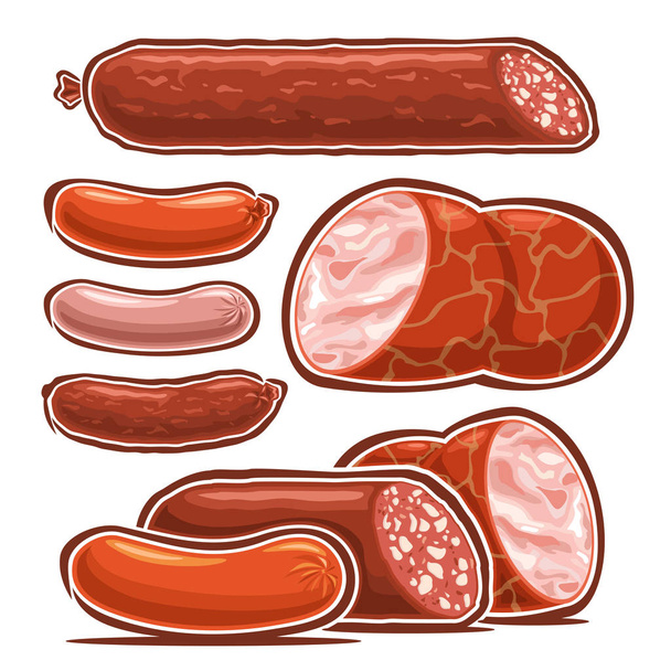 Vector set of Sausages, collection of cut out illustrations many types of delicatessen sausages and cartoon frankfurters for hot dog, isolated on white background. - ベクター画像