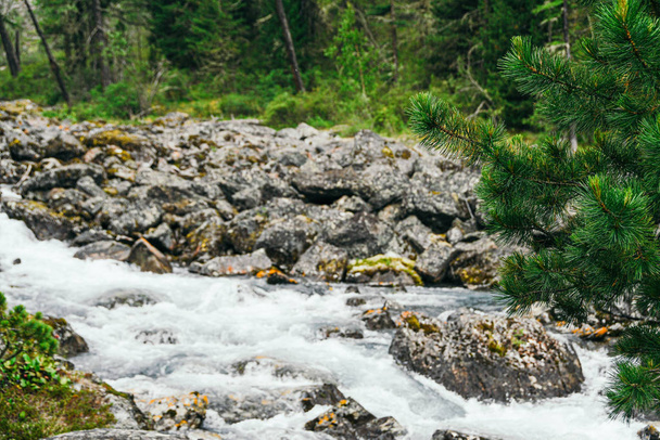 Joki nopeasti virtaava vesi, vuoristo stream kiviä. Matka vuoristolaaksoon, vesimatkailu
 - Valokuva, kuva