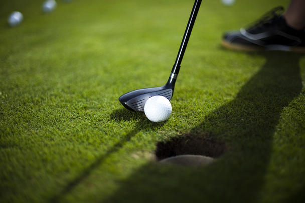 Мяч для гольфа на зеленом лугу, водитель
 - Фото, изображение
