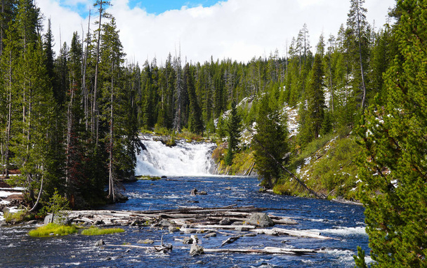 ein weiträumiger Blick auf die Lewis-Wasserfälle im Yellowstone-Nationalpark zeigt die Größe und Kraft der Wasserfälle und des mit umgestürzten Bäumen beladenen Flusses. - Foto, Bild