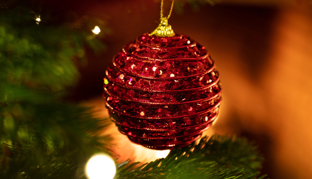 Christmas bauble hanging on a spruce, closeup view - Photo, Image