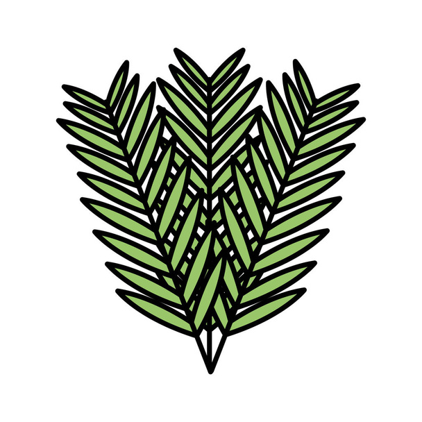 exotic and tropical leafs plant decoration - Vektor, obrázek