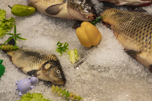 tuotteen kauppakeskuksen jääkaappi laskuri jäädytetty kala hopea karppi
 - Valokuva, kuva