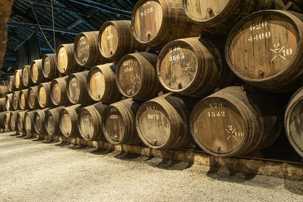 Σειρά από ξύλινα βαρέλια κρασιού Πόρτο στο κελάρι κρασιού Πόρτο, Πορτογαλία. - Φωτογραφία, εικόνα