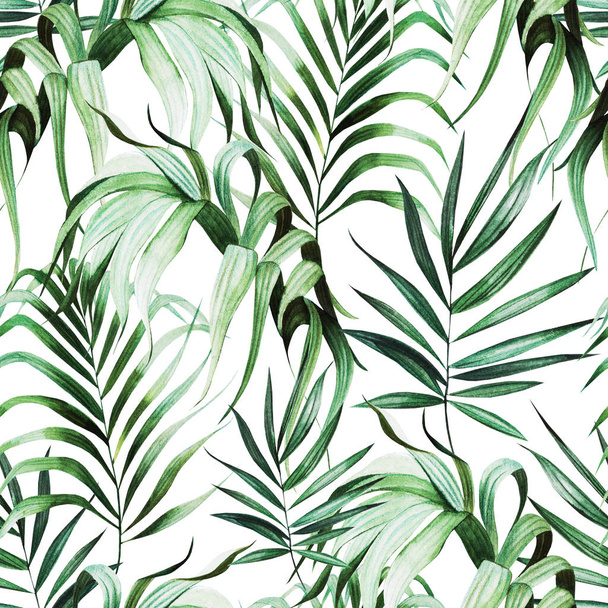 Beautiful watercolor seamless pattern with tropical leaves.  - 写真・画像