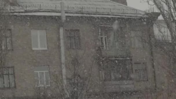Snowfall in the city during the day. Kyiv. Ukraine. Slow motion - Materiał filmowy, wideo