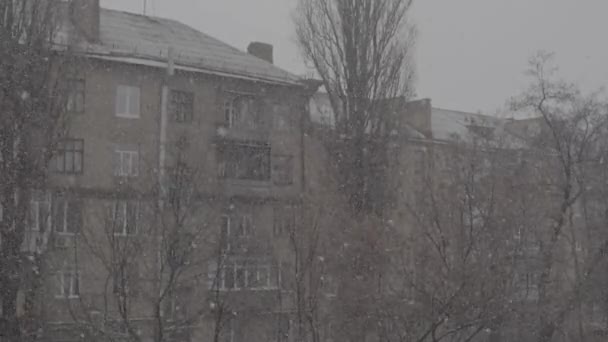 Snowfall in the city during the day. Kyiv. Ukraine - 映像、動画